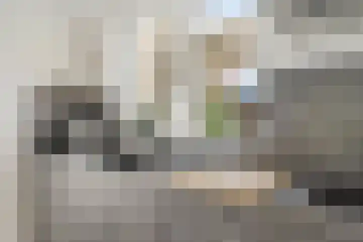 Gaasterland 1 Zoetermeer thumbnail 10