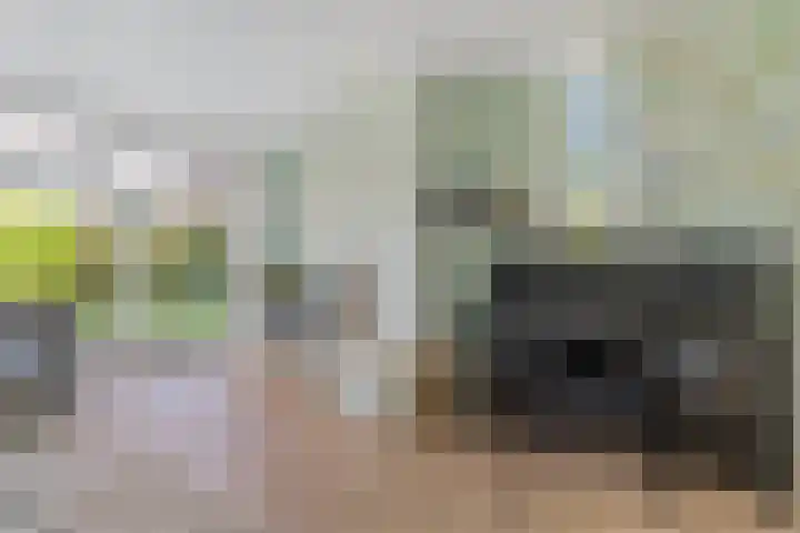 Gaasterland 1 Zoetermeer thumbnail 14