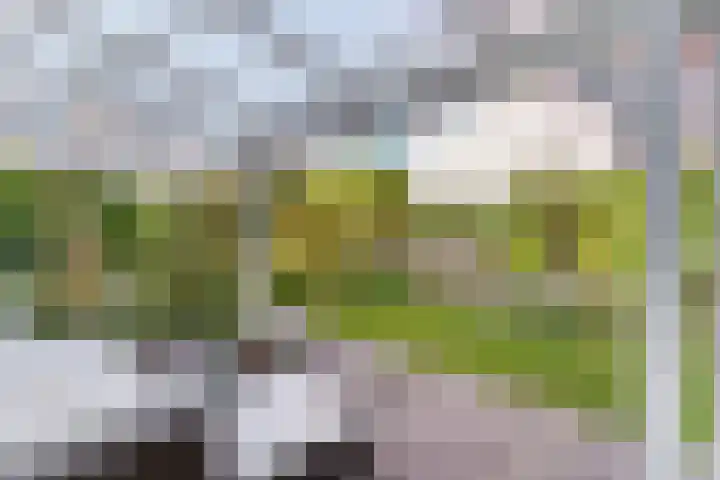Gaasterland 1 Zoetermeer thumbnail 15