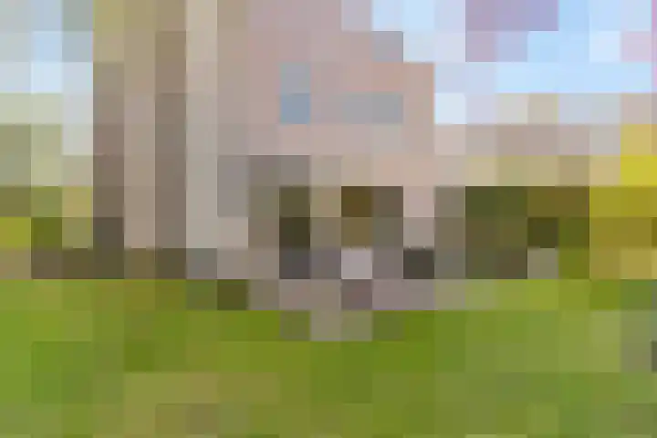 Gaasterland 1 Zoetermeer thumbnail 16