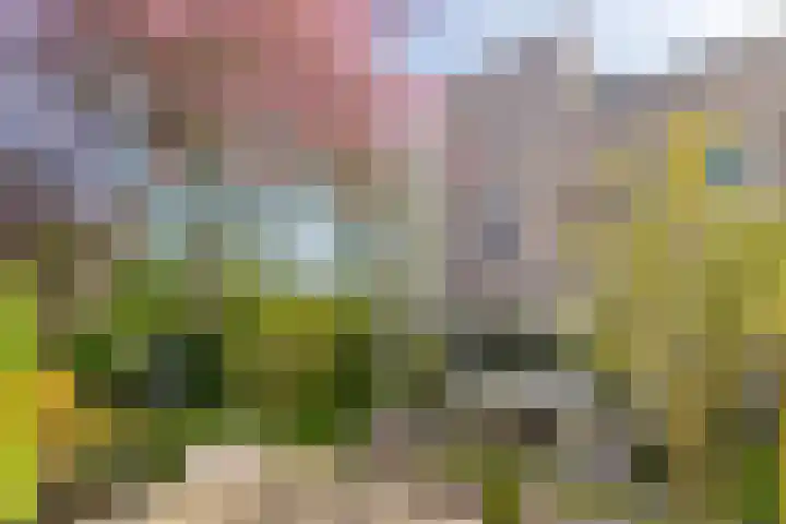 Gaasterland 1 Zoetermeer thumbnail 18