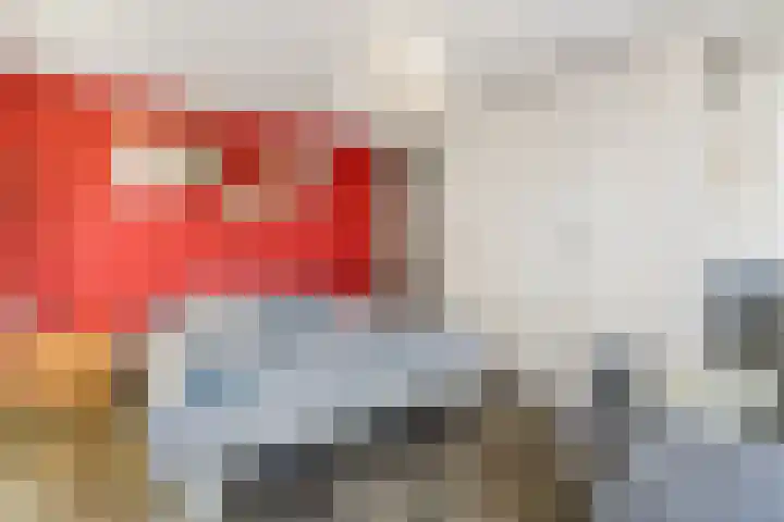 Gaasterland 1 Zoetermeer thumbnail 31