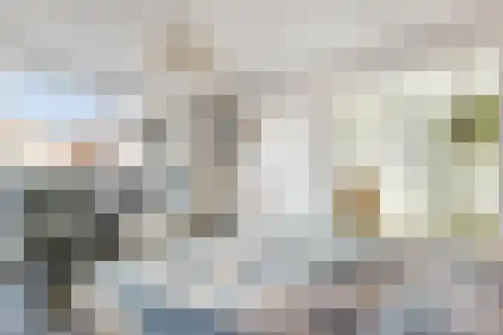 Gaasterland 1 Zoetermeer thumbnail 33
