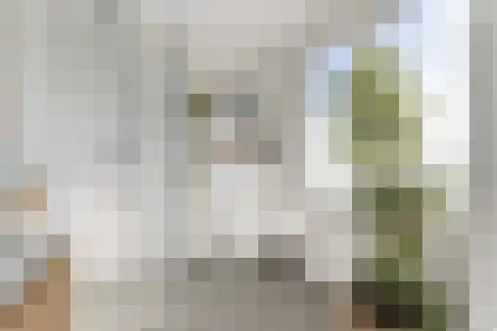 Gaasterland 1 Zoetermeer thumbnail 34