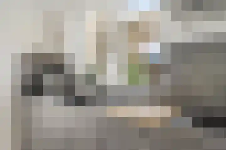 Gaasterland 1 Zoetermeer thumbnail 4