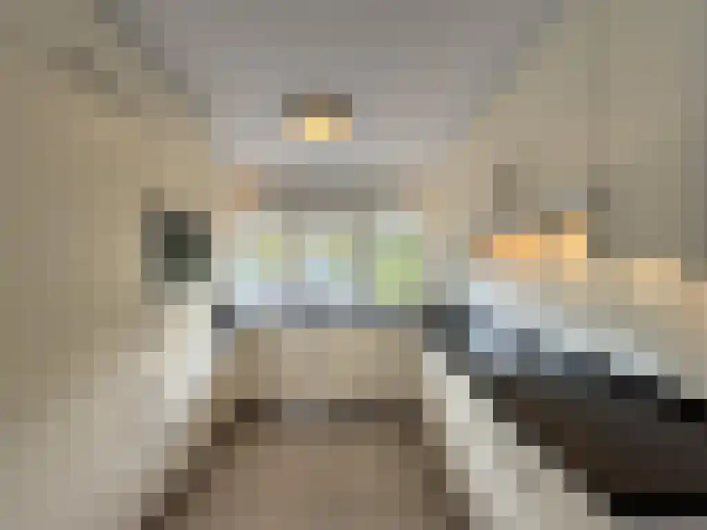 Gaasterland 14 Amstelveen thumbnail 6