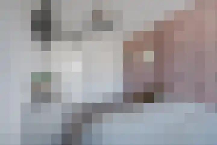 Gaasterland 38 Amstelveen thumbnail 11