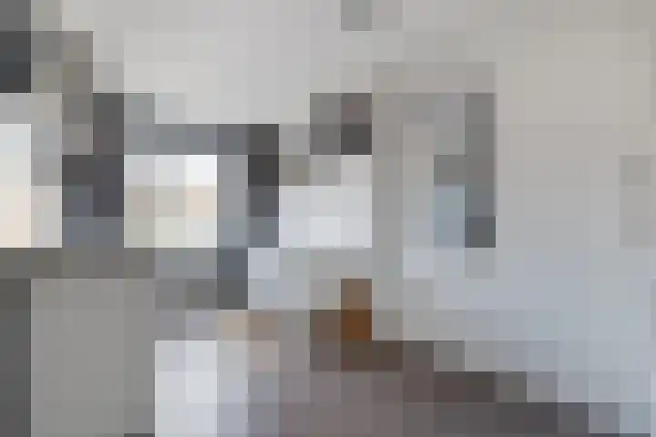 Gaasterland 38 Amstelveen thumbnail 12