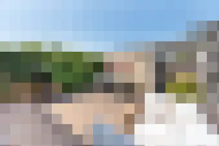 Gaasterland 38 Amstelveen thumbnail 9