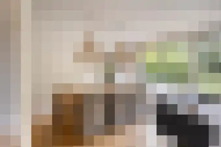 Gaasterland 38 Zoetermeer thumbnail 10