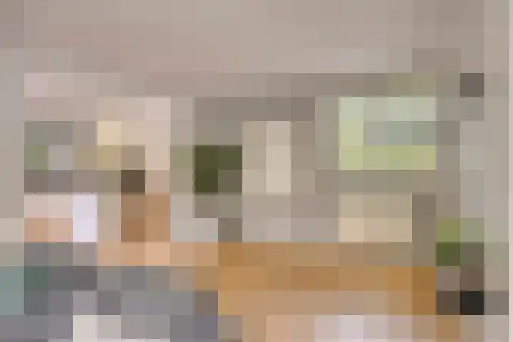 Gaasterland 38 Zoetermeer thumbnail 14