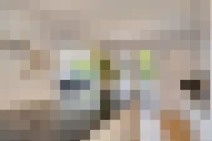 Gaasterland 38 Zoetermeer thumbnail 17