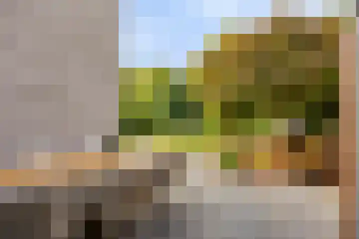 Gaasterland 38 Zoetermeer thumbnail 21