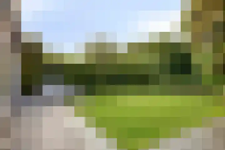 Gaasterland 38 Zoetermeer thumbnail 23