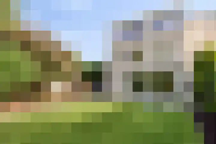 Gaasterland 38 Zoetermeer thumbnail 25