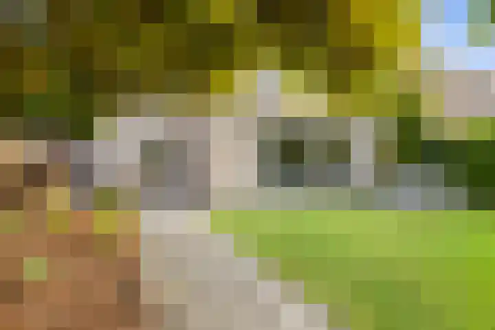 Gaasterland 38 Zoetermeer thumbnail 26
