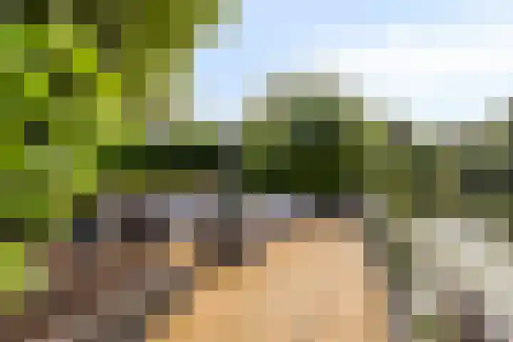 Gaasterland 38 Zoetermeer thumbnail 27