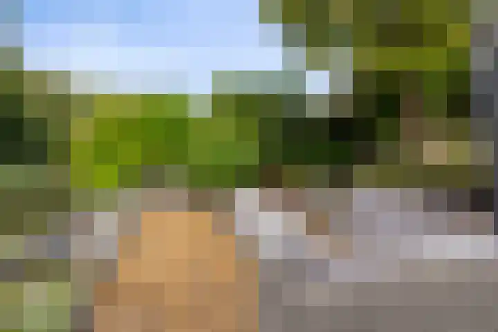 Gaasterland 38 Zoetermeer thumbnail 28