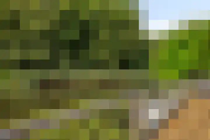 Gaasterland 38 Zoetermeer thumbnail 29