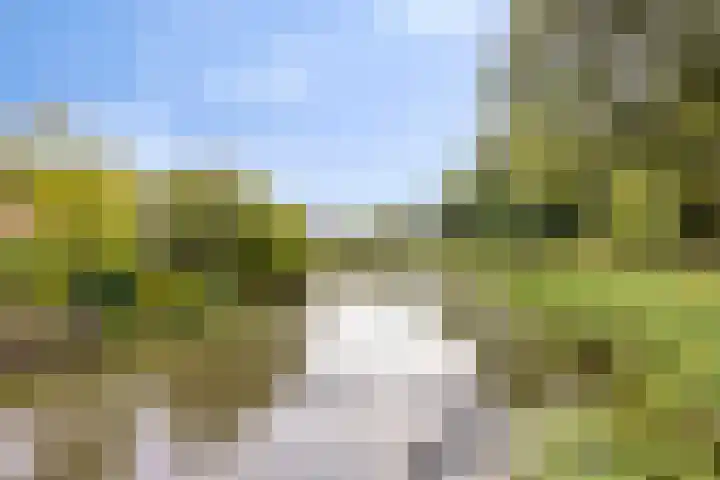 Gaasterland 38 Zoetermeer thumbnail 30