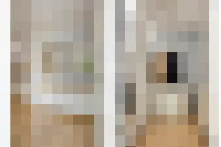 Gaasterland 38 Zoetermeer thumbnail 31
