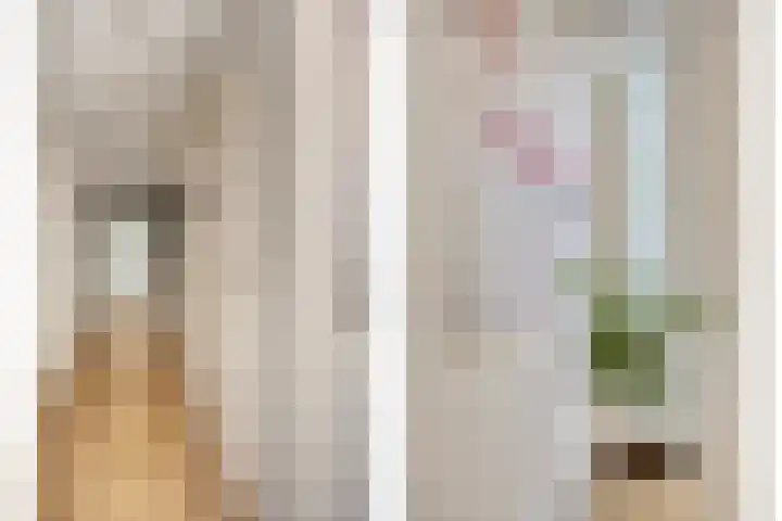 Gaasterland 38 Zoetermeer thumbnail 33