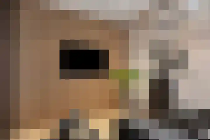 Gaasterland 38 Zoetermeer thumbnail 35