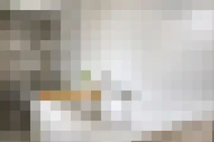 Gaasterland 38 Zoetermeer thumbnail 39