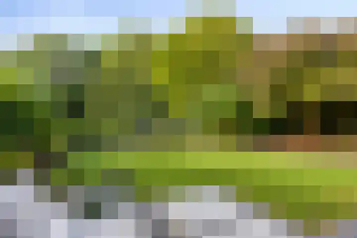 Gaasterland 38 Zoetermeer thumbnail 4