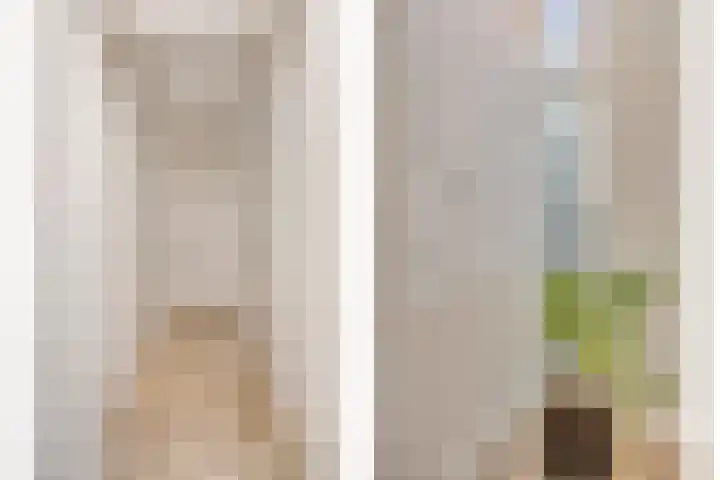 Gaasterland 38 Zoetermeer thumbnail 48