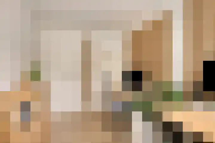 Gaasterland 38 Zoetermeer thumbnail 56