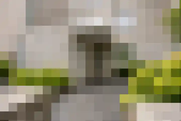 Gaasterland 38 Zoetermeer thumbnail 59