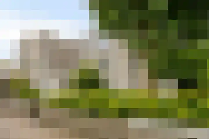Gaasterland 38 Zoetermeer thumbnail 6
