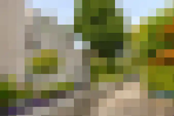 Gaasterland 38 Zoetermeer thumbnail 62