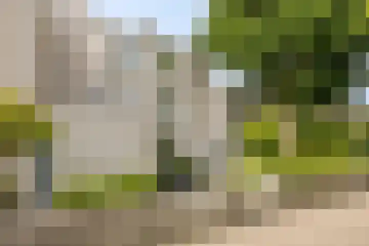 Gaasterland 38 Zoetermeer thumbnail 63