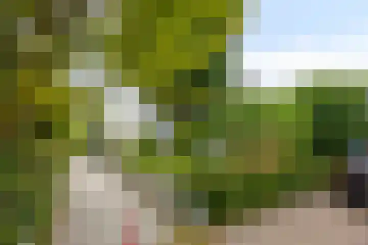 Gaasterland 38 Zoetermeer thumbnail 64