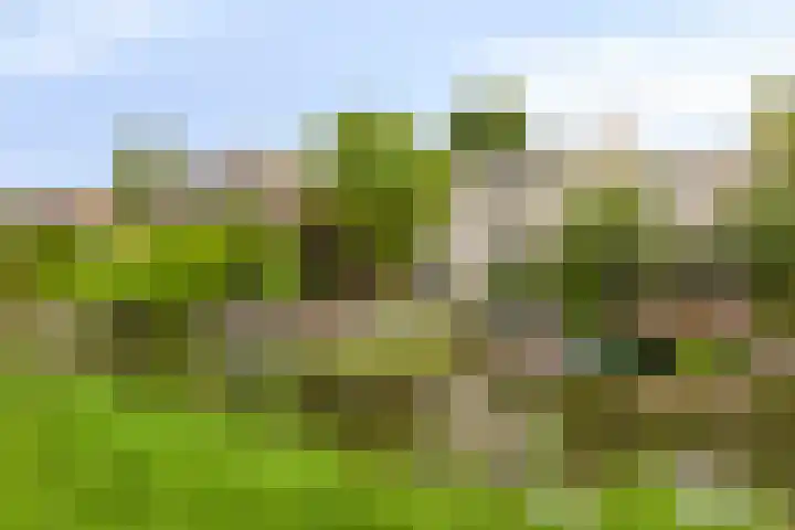 Gaasterland 38 Zoetermeer thumbnail 65