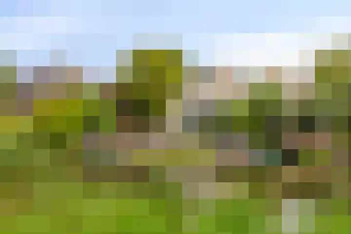 Gaasterland 38 Zoetermeer thumbnail 66