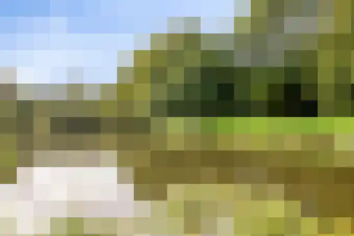 Gaasterland 38 Zoetermeer thumbnail 67