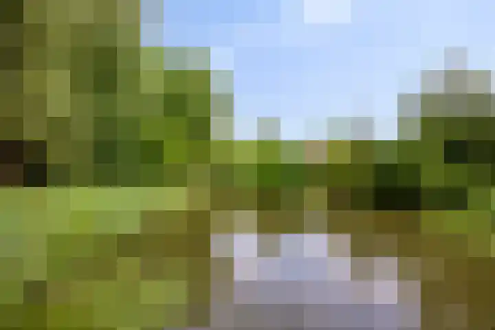 Gaasterland 38 Zoetermeer thumbnail 68