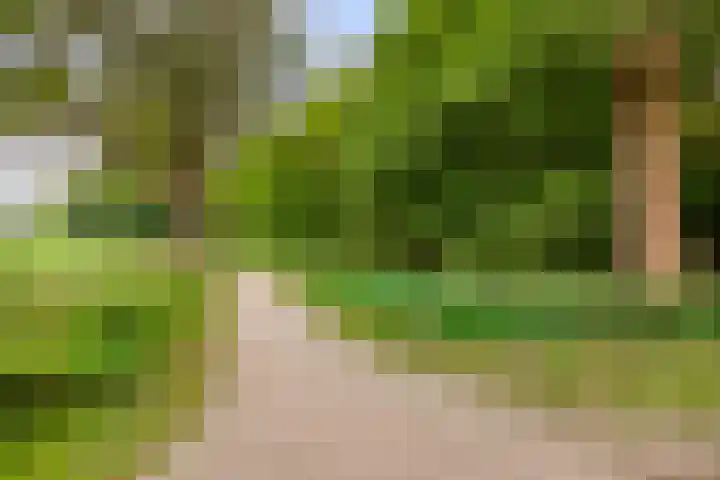 Gaasterland 38 Zoetermeer thumbnail 69