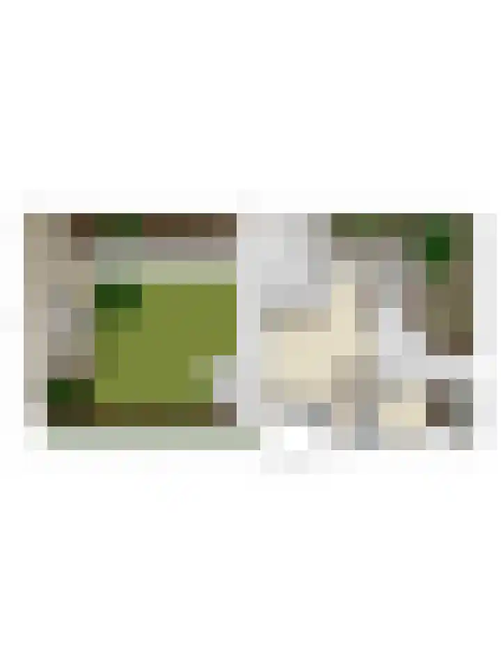 Gaasterland 38 Zoetermeer thumbnail 73