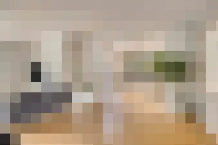 Gaasterland 38 Zoetermeer thumbnail 8