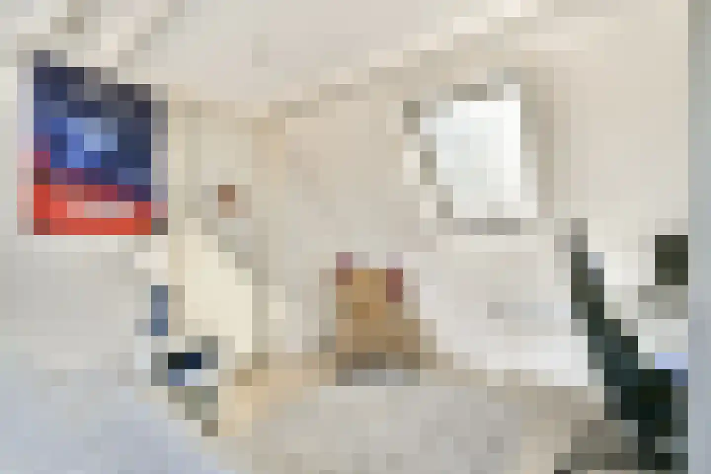 Gaasterland 5 Amstelveen thumbnail 22