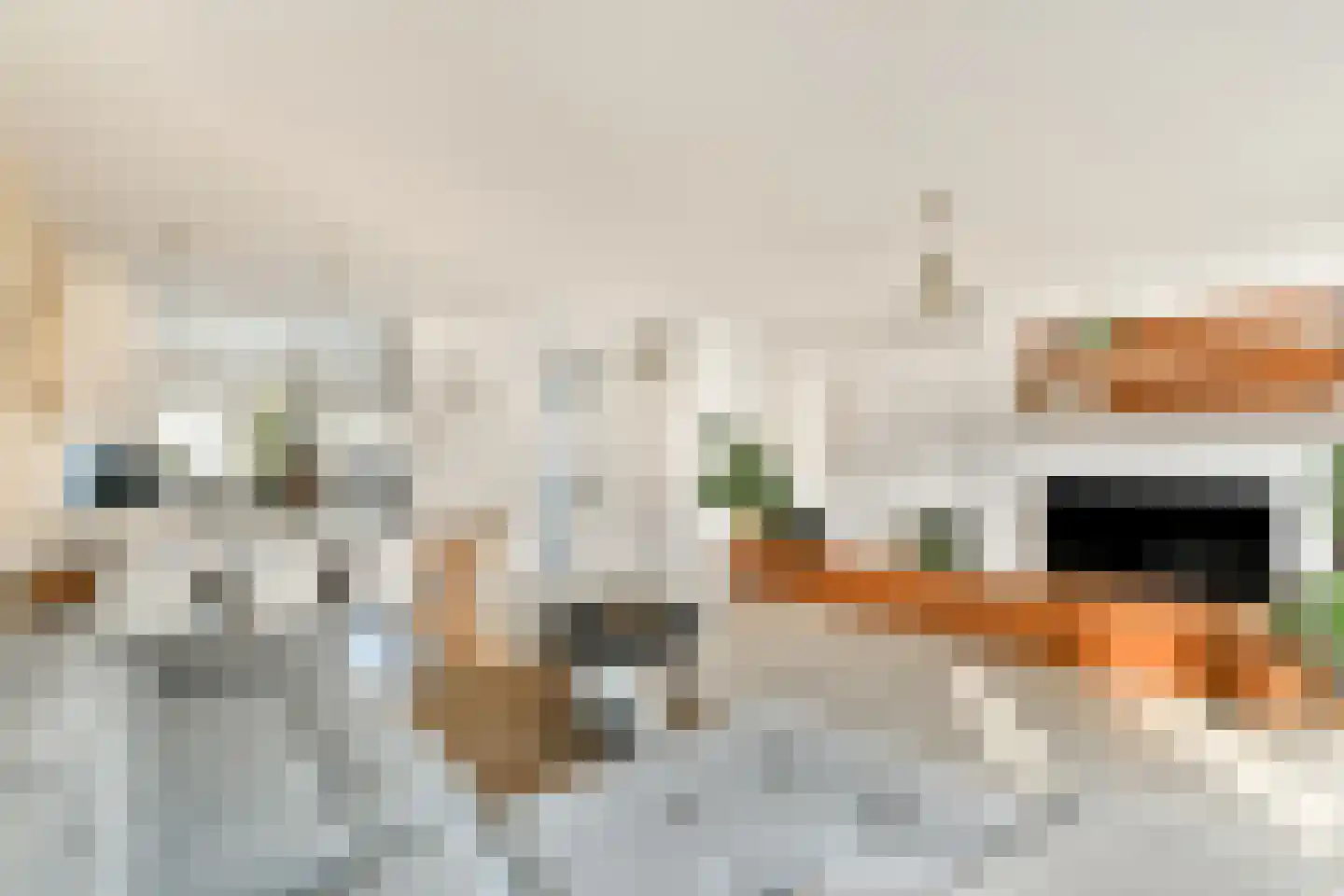 Gaasterland 5 Amstelveen thumbnail 5