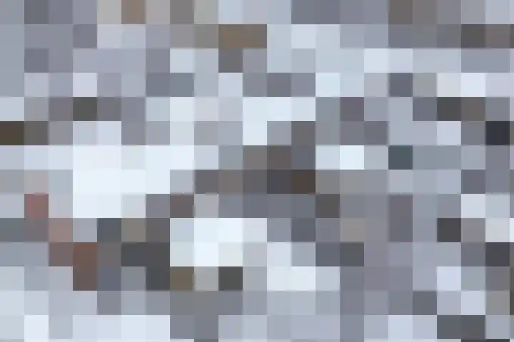 Gaasterlandlaan 29 Heerenveen thumbnail 32