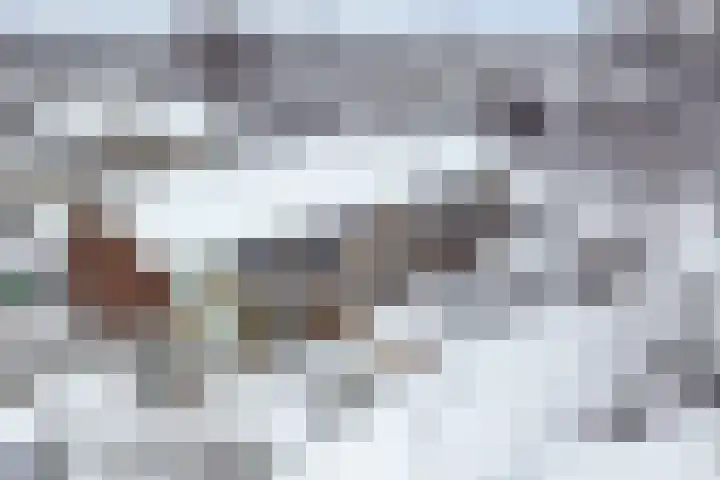 Gaasterlandlaan 29 Heerenveen thumbnail 37
