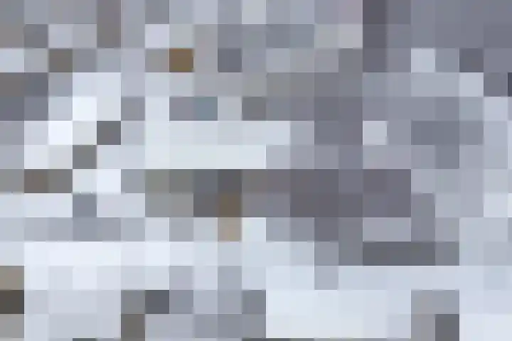 Gaasterlandlaan 29 Heerenveen thumbnail 38