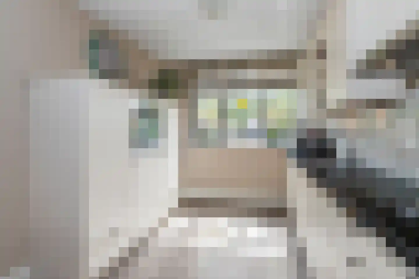 Gaasterlandlaan 64 Den Haag thumbnail 7