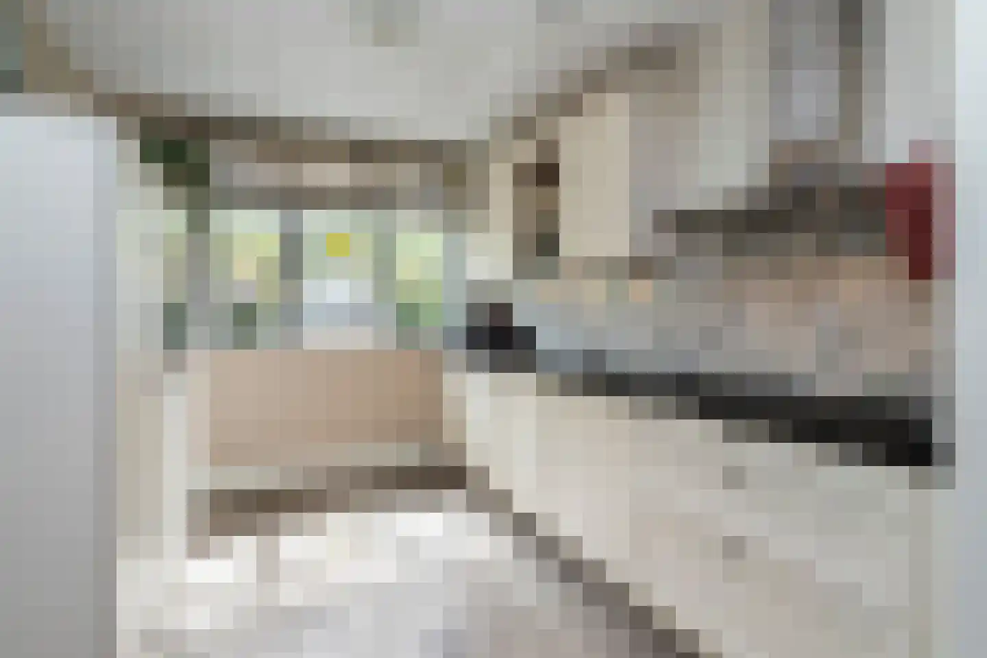 Gaasterlandlaan 64 Den Haag thumbnail 8